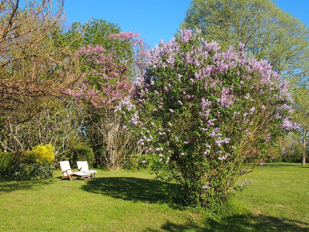 Gite De Charme Au Bord Du Tarn Marssac-sur-Tarn Экстерьер фото